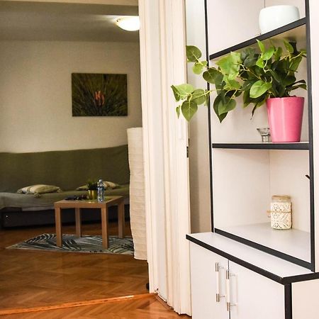 Apartment Kiwi Novi Sad Dış mekan fotoğraf