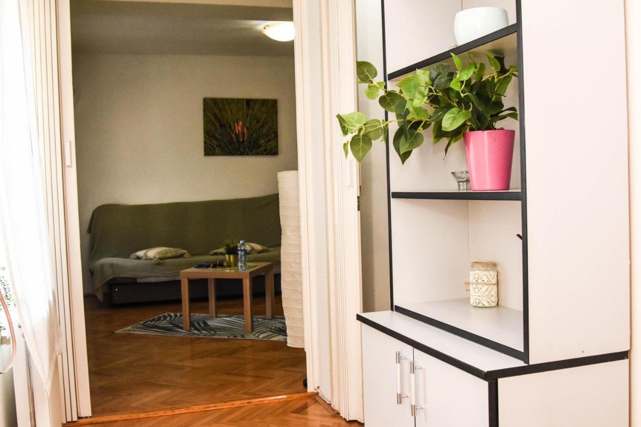 Apartment Kiwi Novi Sad Dış mekan fotoğraf